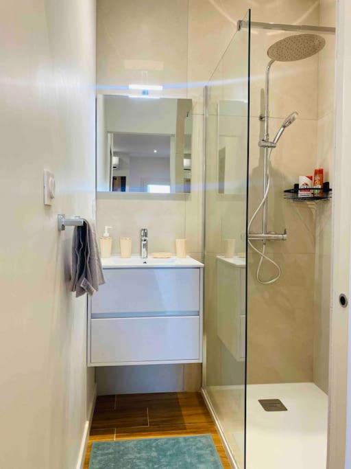 Appartement Du Chateau Climatisee *